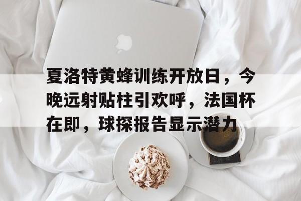 mk足球官网-夏洛特黄蜂训练开放日，今晚远射贴柱引欢呼，法国杯在即，球探报告显示潜力