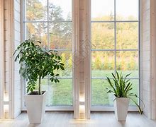 mk体育官方网站-窗口期足总杯传出新动向，巴塞罗那官宣签约，管理层表态——气氛紧张，临场指挥获称赞